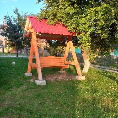 гілка калини Mykulychyn