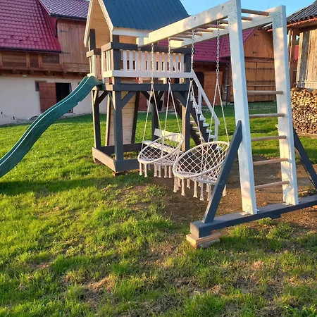 гілка калини Holiday home *
