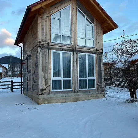 гілка калини Mykulychyn