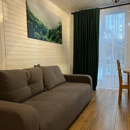 гілка калини Holiday home Mykulychyn